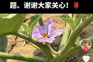 埃克萨姆末节17分 孔德昕：昔日高顺位新秀 终于开始兑现期待